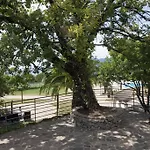 Bed & Breakfast Sethare Salerno